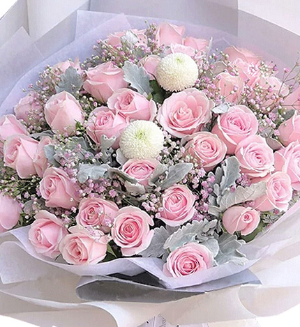 妙恋物语 - 33朵粉玫瑰