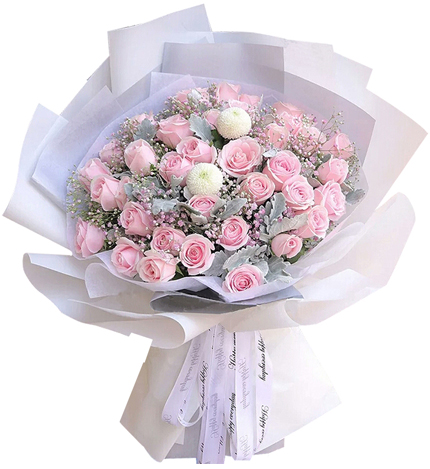 妙恋物语 - 33朵粉玫瑰