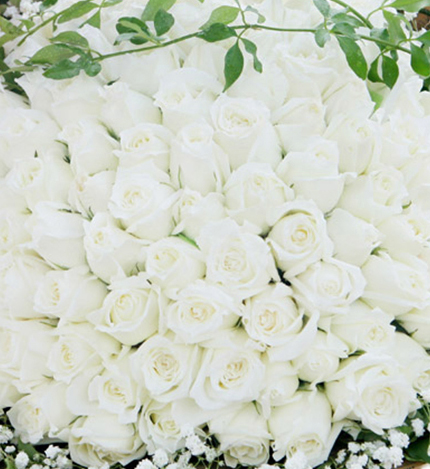 99白玫瑰