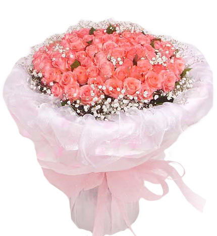嫁给我吧：108枝粉玫瑰