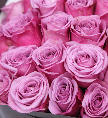 醇美绽放：36枝紫玫瑰