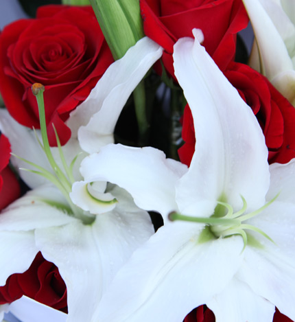 深情密码：16枝红玫瑰，多头白色百合1枝