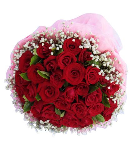 恋爱时刻：19朵顶级红玫瑰,配绿叶和满天星