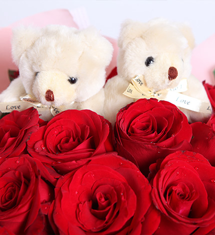 守护爱情：19枝红玫瑰，2只5寸小熊
