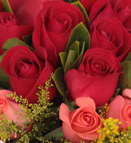 一生相依：11枝红玫瑰居中，11枝粉玫瑰围绕