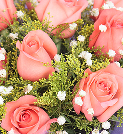 Love风景线：11枝粉玫瑰