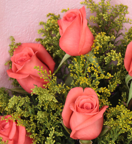 爱情密码：9枝粉玫瑰