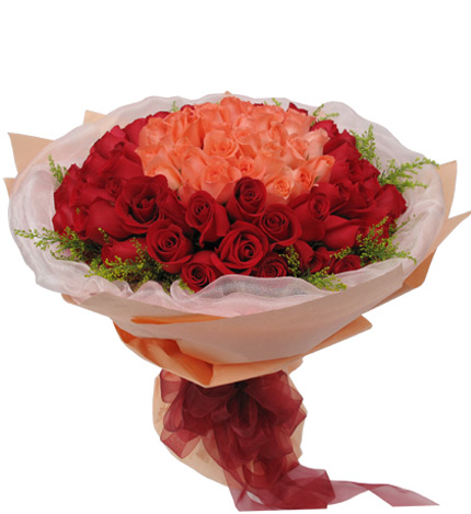 浪漫情人99朵玫瑰：33枝粉玫瑰居中，66枝红玫瑰围绕
