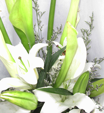 春韵：7枝白色马蹄莲,2枝白香水百合,情人草适量