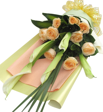 赏心悦目：5枝白色马蹄莲,9枝香槟玫瑰