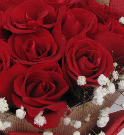 花火：16枝红玫瑰