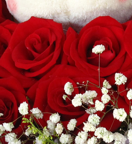 爱在心中：22枝红玫瑰