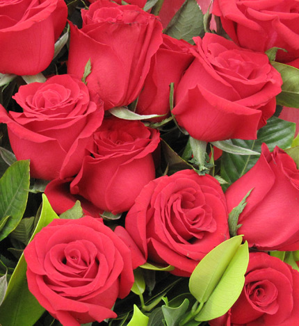 浪漫的约定：21枝红玫瑰