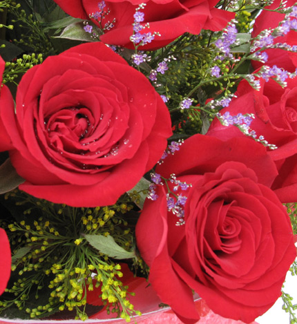 热情如火：红玫瑰22枝