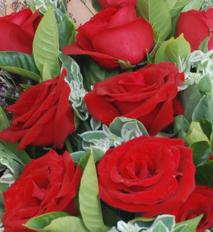 倾心：19枝红玫瑰