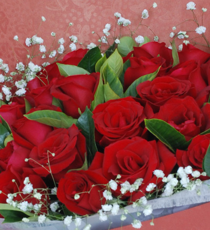 爱情港湾：33枝红玫瑰
