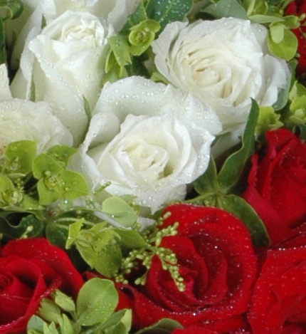 幸福的理由：白玫瑰10枝，40枝红玫瑰