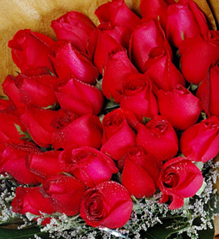 知心爱人：33枝红玫瑰