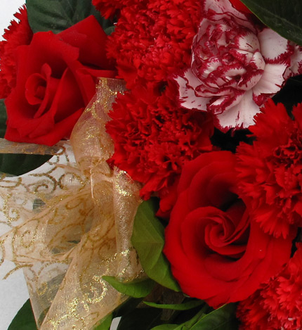 感谢一生：红康乃馨20枝,紫边康乃馨6枝，红玫瑰6枝