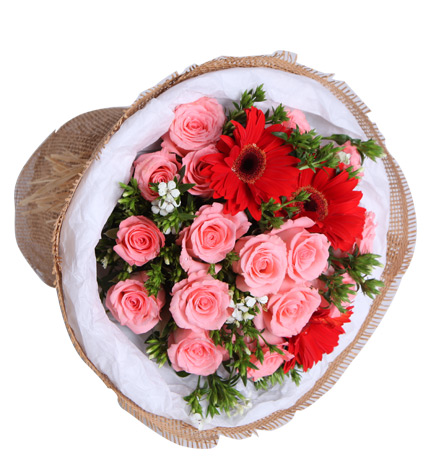 不一样的精彩：戴安娜粉玫瑰16枝，红色太阳花3枝