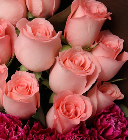 午后阳光：19枝戴安娜粉玫瑰，8枝紫色康乃馨