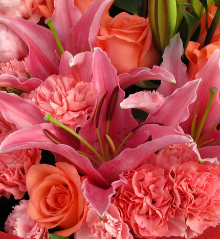 火热情怀：18枝粉色康乃馨，粉玫瑰5枝，粉香水百合2枝，5寸小熊