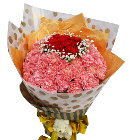 真心祝福：11枝红色康乃馨、55枝粉康乃馨、5寸小熊一只