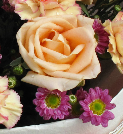缤纷：香槟玫瑰7枝，香槟色花边或粉色康乃馨11枝