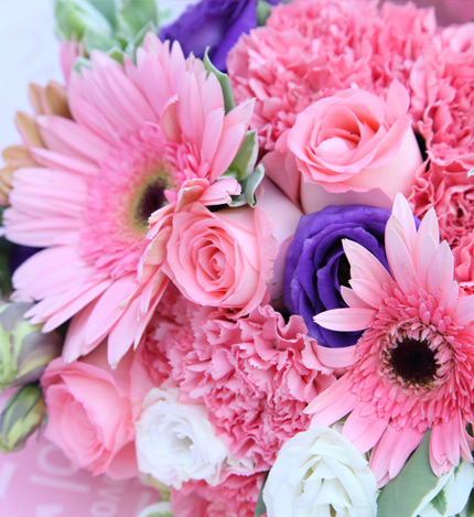 粉色童话：11枝粉色康乃馨，戴安娜粉玫瑰3枝，粉色扶郎3枝，紫色白色桔梗