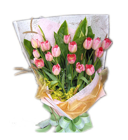 浪漫粉色郁金香：20枝粉色郁金香，黄莺、绿叶适量