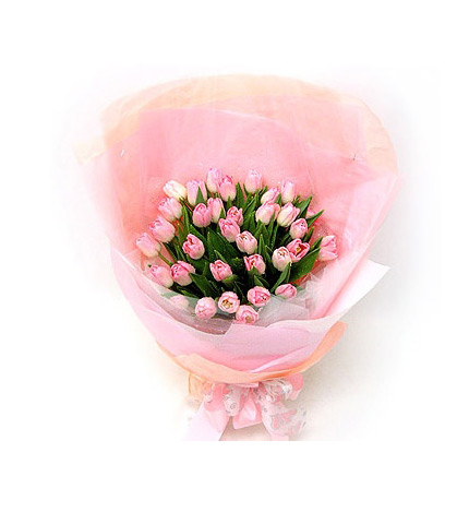 粉红丽人：33枝粉色郁金香花束
