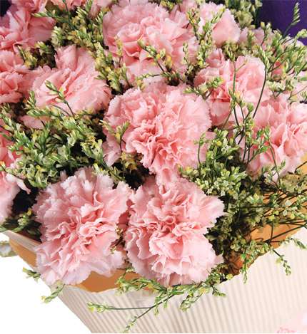 最深的祝福:12朵粉色康乃馨