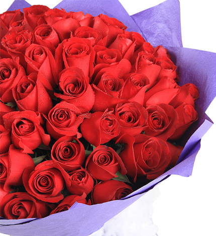 一生幸福：66朵红玫瑰