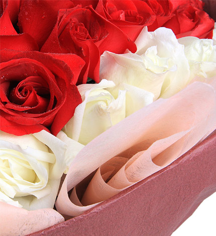 心的礼物：红玫瑰+白玫瑰共99朵