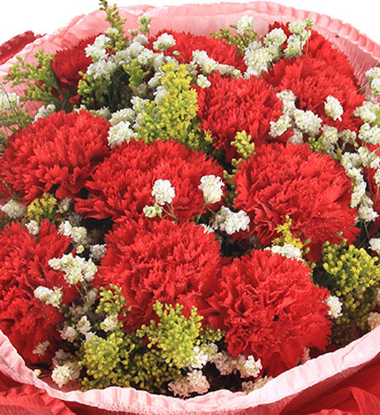 笑靥如花的爱：11只红色康乃馨