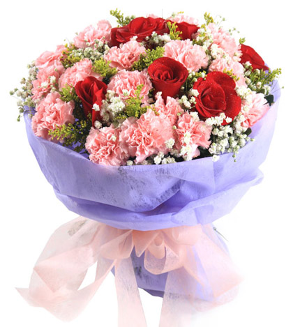 想念你：6支红玫瑰,12支粉色康乃馨