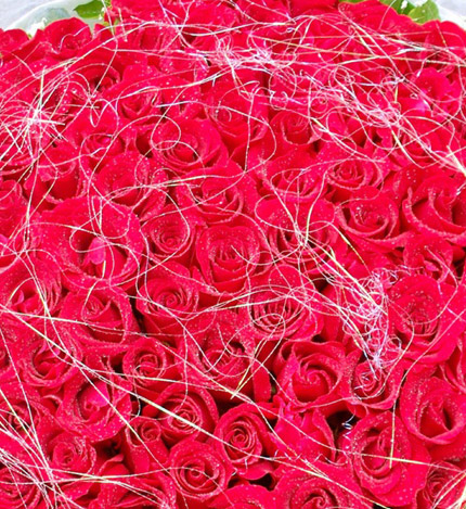 让我爱你：108枝红玫瑰