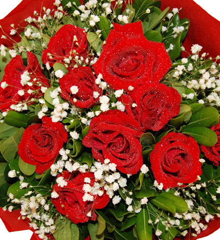爱的火焰：11枝红玫瑰