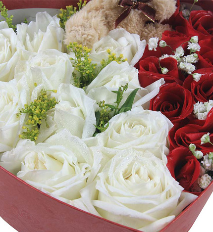 继续爱：18枝白玫瑰，11枝红玫瑰