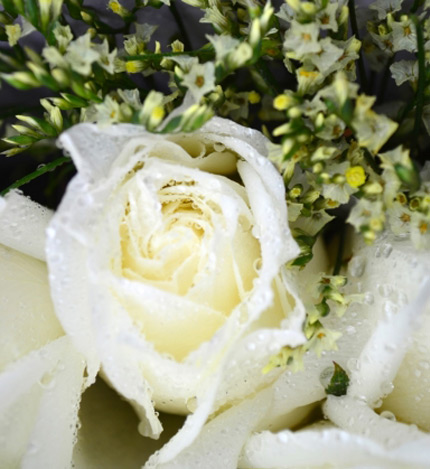 想你的夜半时分：33枝白玫瑰花盒