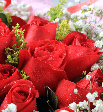 美丽约会：19枝红玫瑰