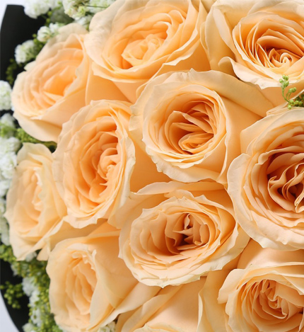 爱的华尔兹：11朵香槟玫瑰鲜花花束