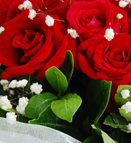 知心的你：16枝红玫瑰花束送上海北京深圳广州 鲜花速递网