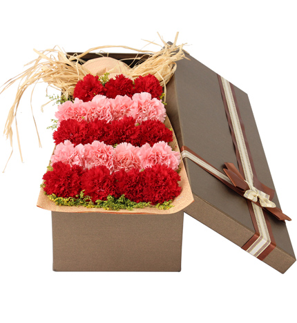 暖暖的爱：19朵康乃馨礼盒 母亲节生日鲜花