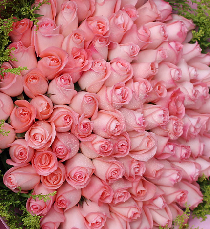 暖暖初心：99枝粉玫瑰花束